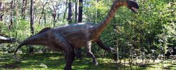 The Biggest Grassy Dinosaur Name