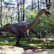 The Biggest Grassy Dinosaur Name